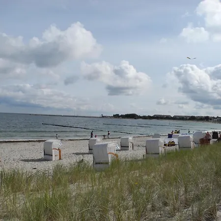 Felilotte - 글로페