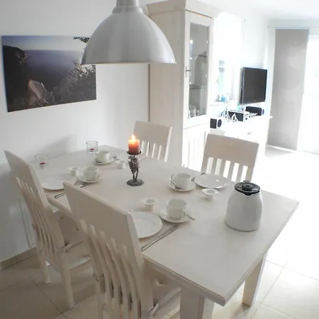 Felilotte - * 글로페